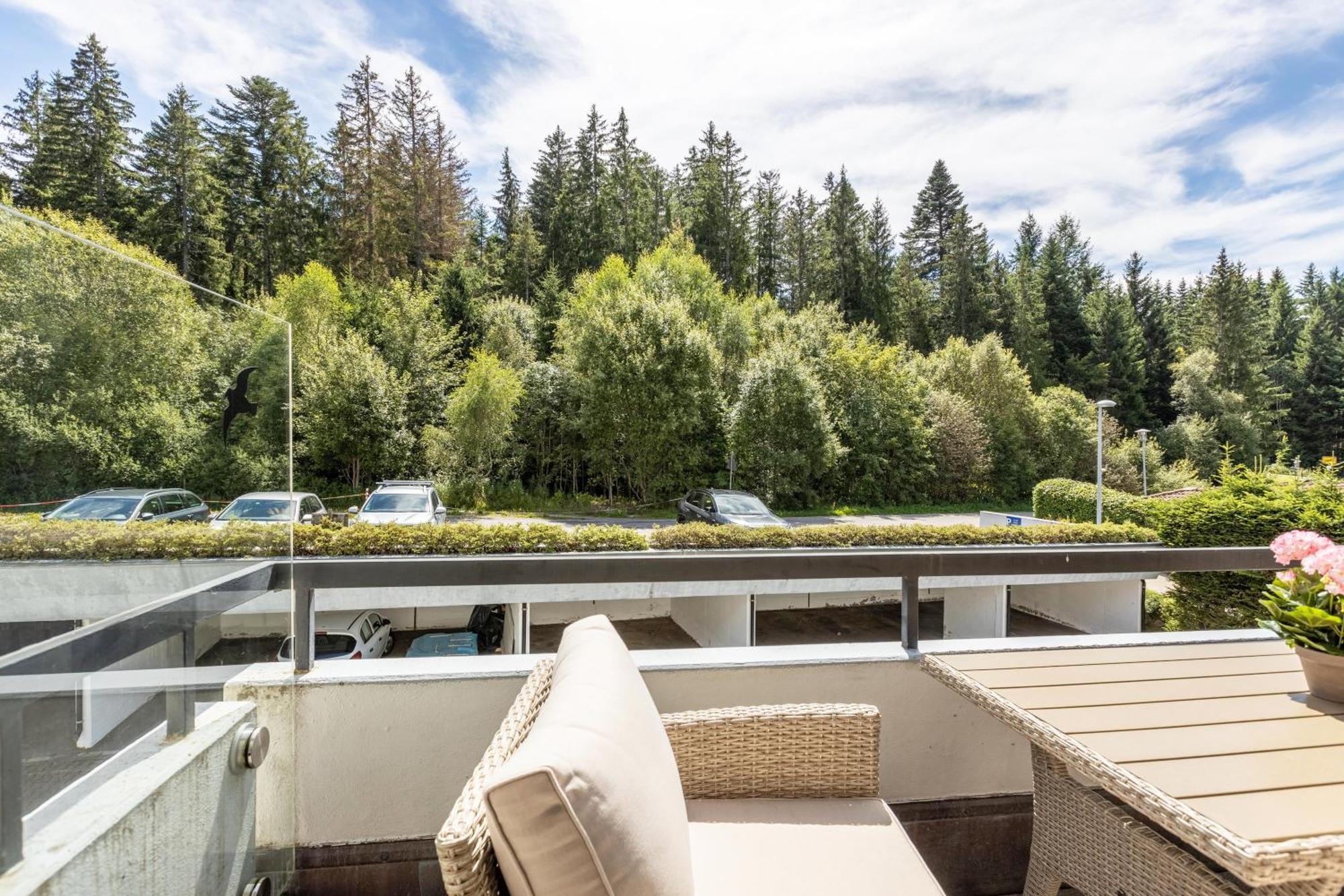 Idylle Apartment Schluchsee